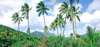 Carlisle Bay 